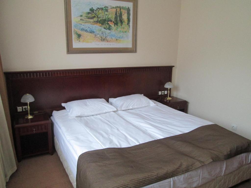 Downtown Alexander Services Apartments Bansko Oda fotoğraf