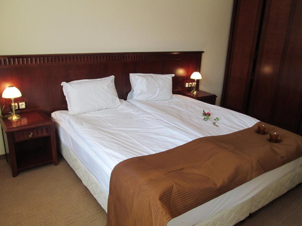 Downtown Alexander Services Apartments Bansko Oda fotoğraf